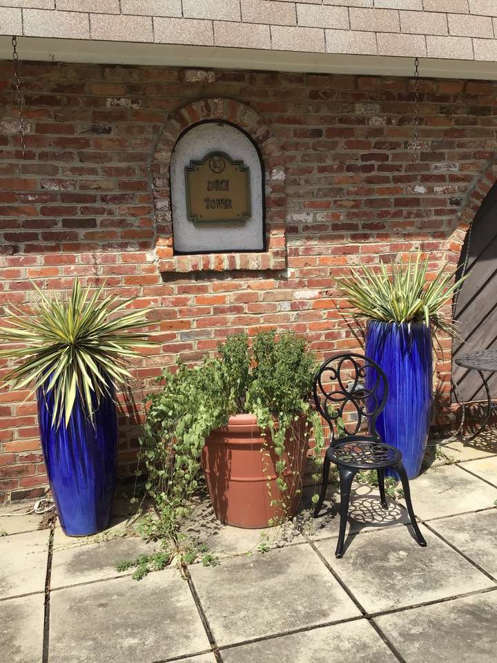 Potted plants in the courtyard