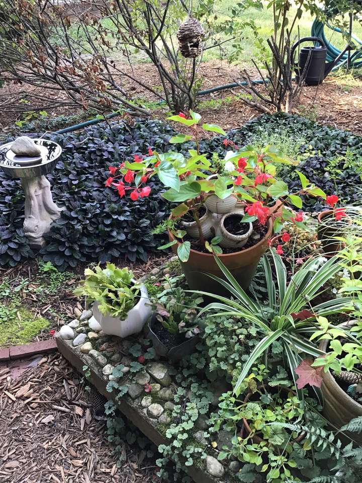 Just one of the gardens in the courtyard