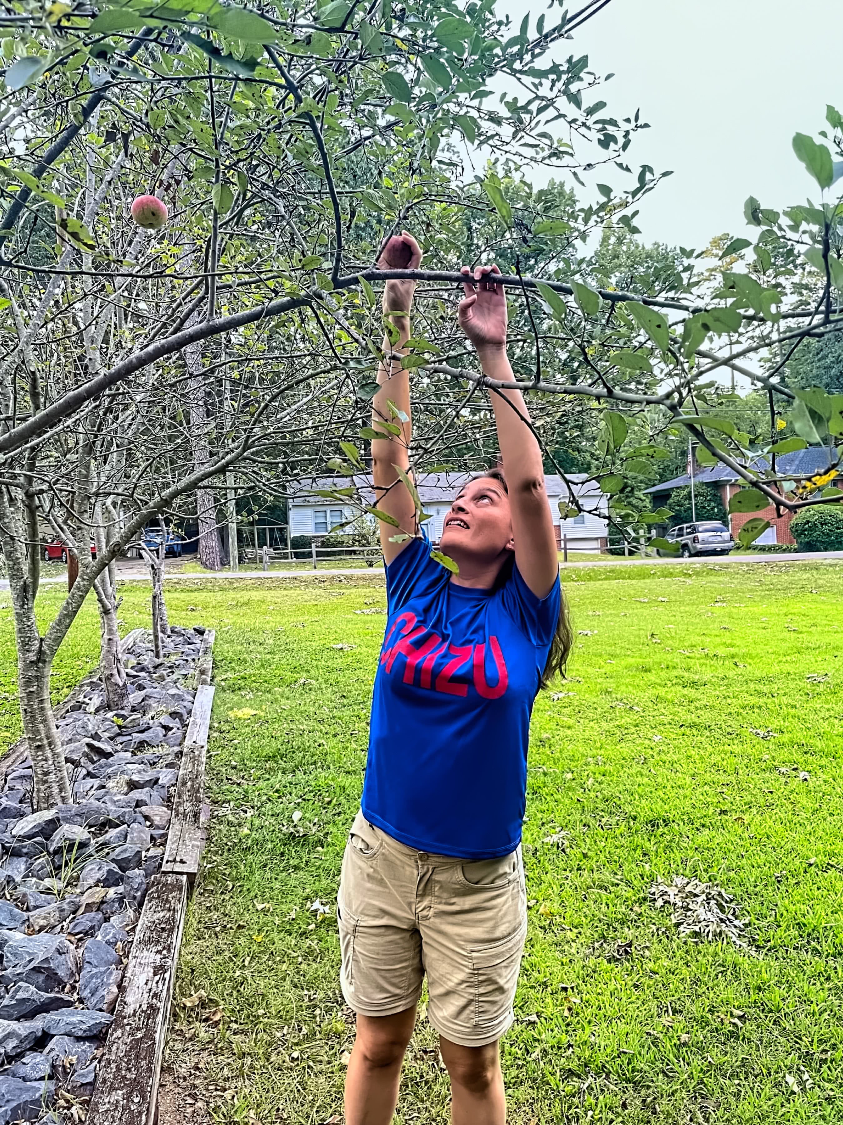 Maria harvests an Apple while wearing her Chizu shirt in Durham, NC, US