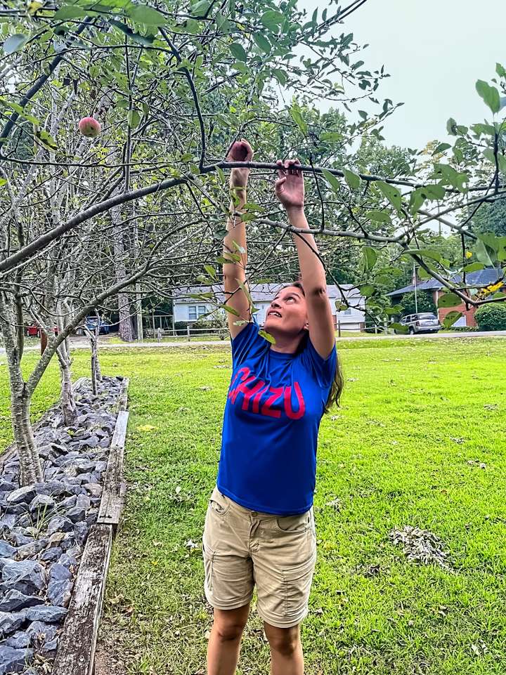 Maria harvests an Apple while wearing her Chizu shirt in Durham, NC, US