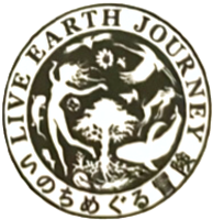 LIVE EARTH JOURNEY Stamp